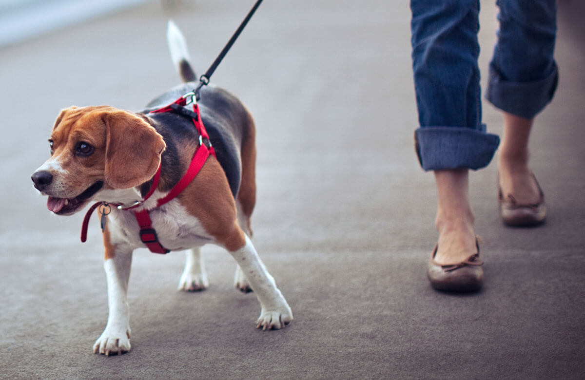 Codes Ordinances 1200x780