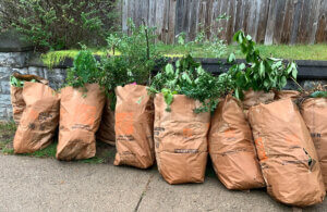 Yard Waste Collection 1200x780