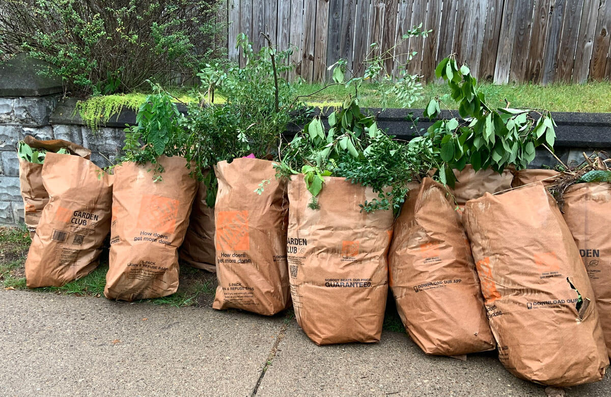 Yard Waste Collection 1200x780